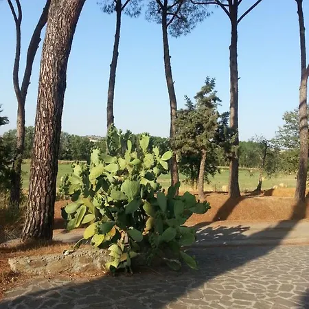 Agriturismo Il Vecchio Grillese مزرعة للإقامة